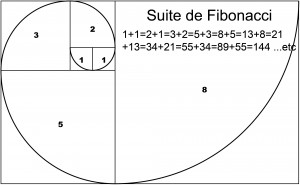  La suite de Fibonacci  Crédit: sandrine-buzin.com 