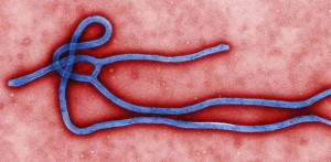 ebola Virus