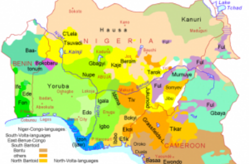 Article : L’Afrique, ses « ethnies » et ses Etats-nations